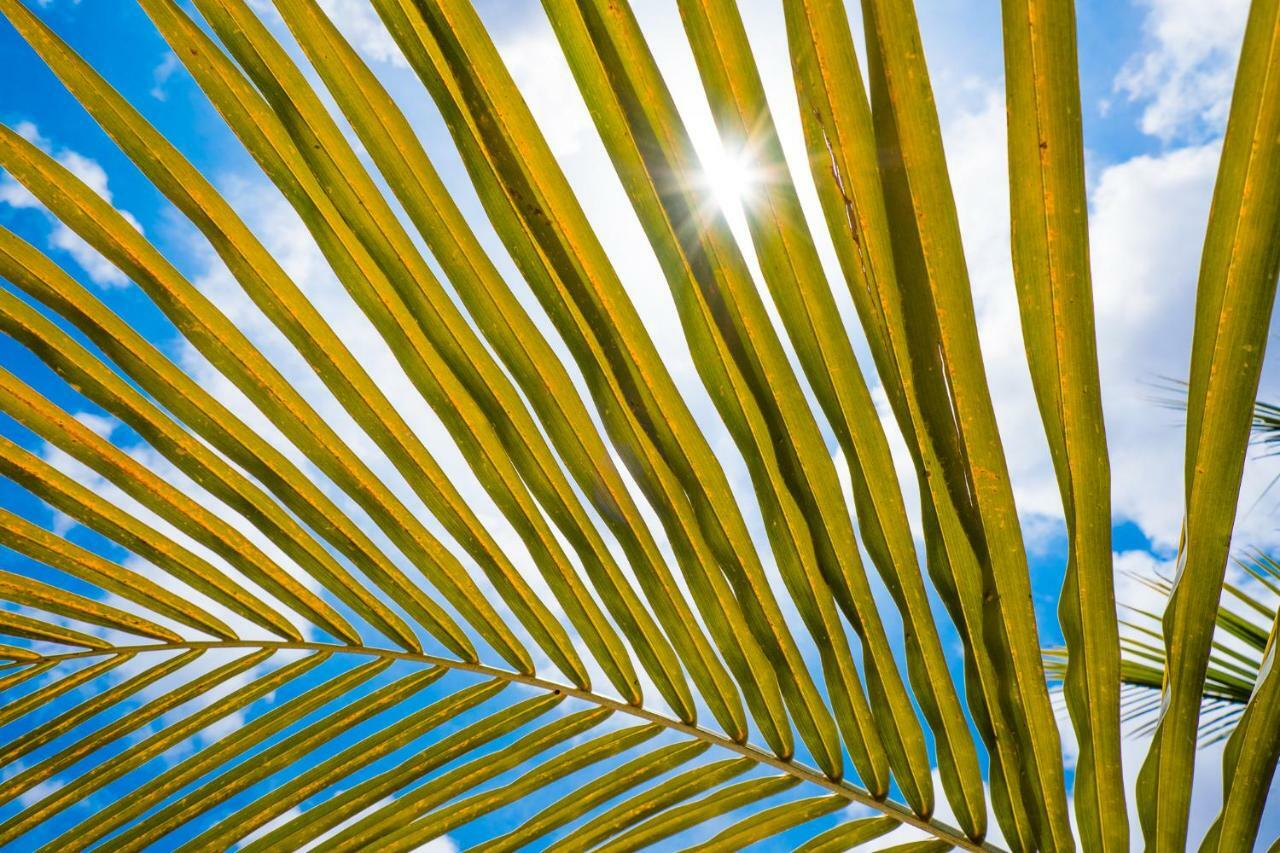 Beaches Bonaire Playa Eksteriør billede